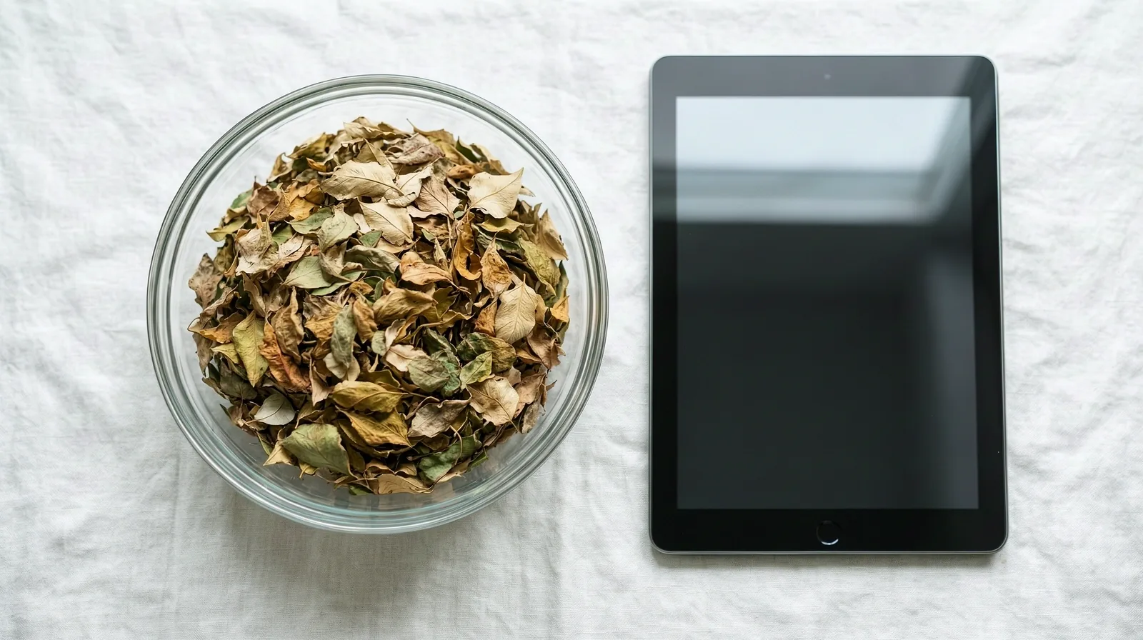 Nutrition Well digital clarity